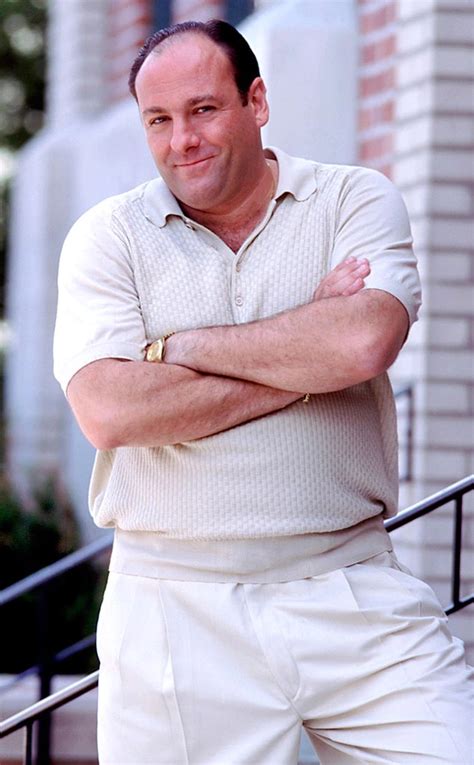 how did tony soprano die.